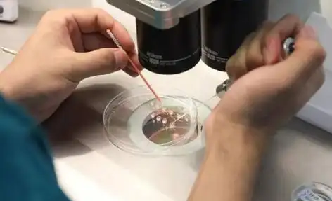 西安打破偏见的生命礼赞：同性生子背后的爱与坚守